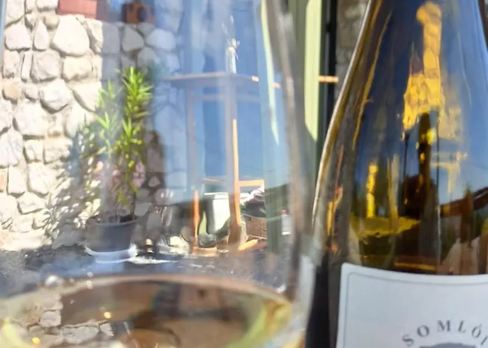 Apartament Nemcsuri Vendeghaz Somlo