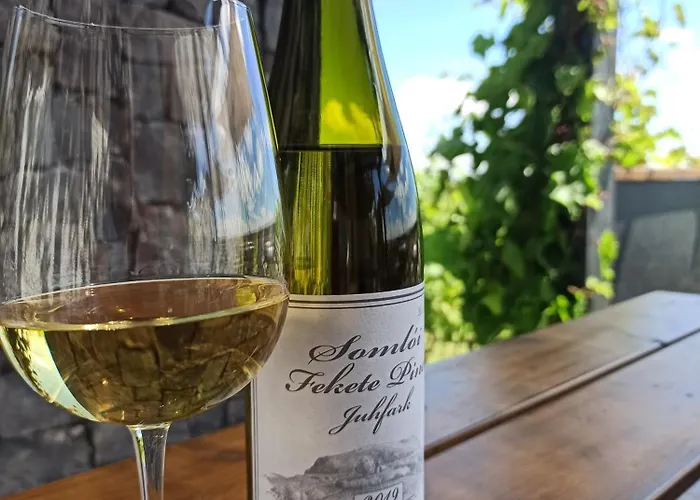 Apartament Nemcsuri Vendeghaz Somlo