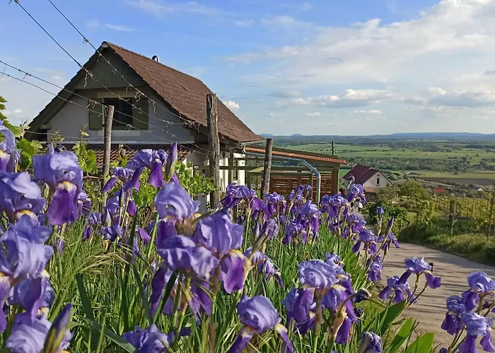 Apartament Nemcsuri Vendeghaz Somlo *