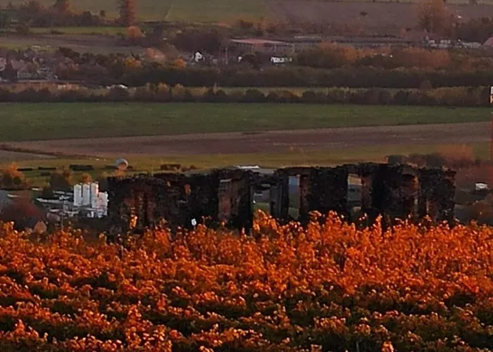 Apartament Nemcsuri Vendeghaz Somlo Somlovasarhely