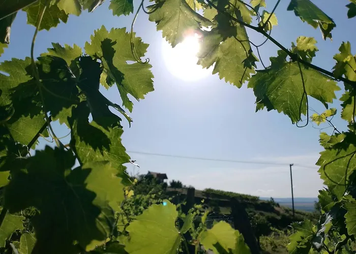 Nemcsuri Vendeghaz Somlo