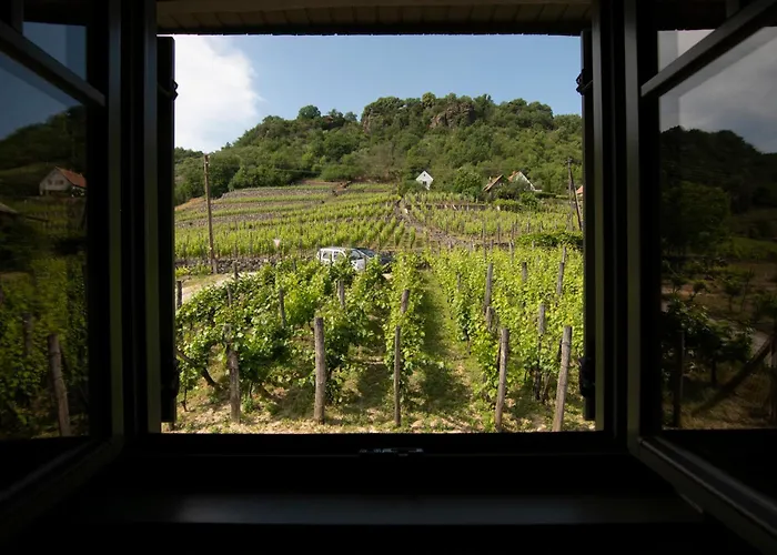 Apartament Nemcsuri Vendeghaz Somlo *