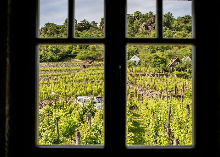 Nemcsuri Vendeghaz Somlo Apartament