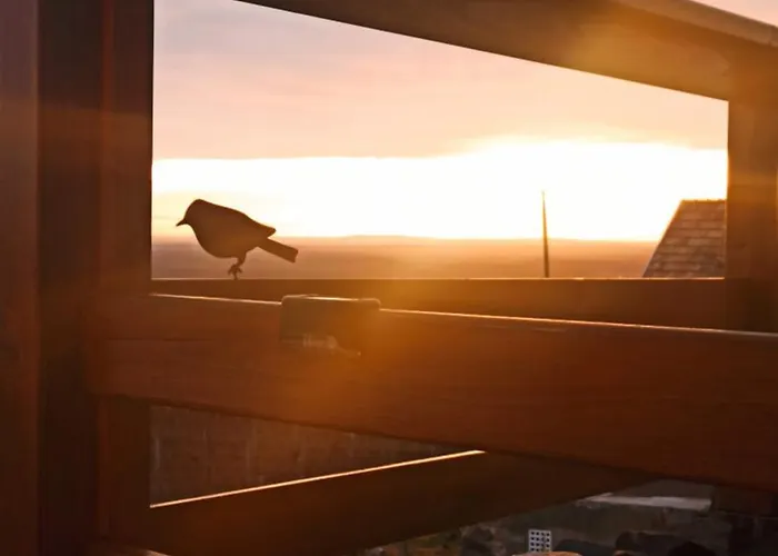 Apartament Nemcsuri Vendeghaz Somlo