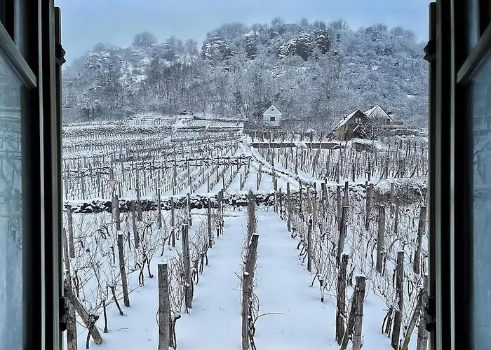 Apartament Nemcsuri Vendeghaz Somlo Somlovasarhely